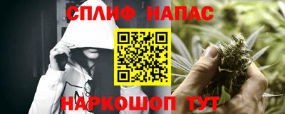 гидра Нарткала