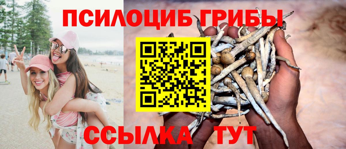 Галлюциногенные грибы прущие грибы Томск